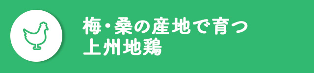 梅・桑の産地で育つ上州地鶏