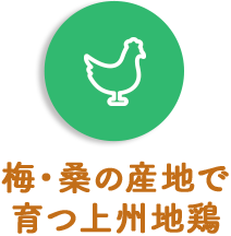 梅・桑の産地で育つ上州地鶏